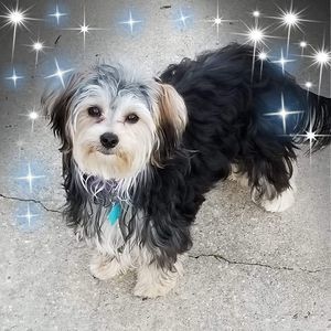 Meet your Posher, Ann